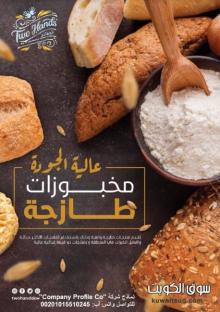 قصر الشركات – أفضل شركة تصميم بروفايل شركات في العالم العربي